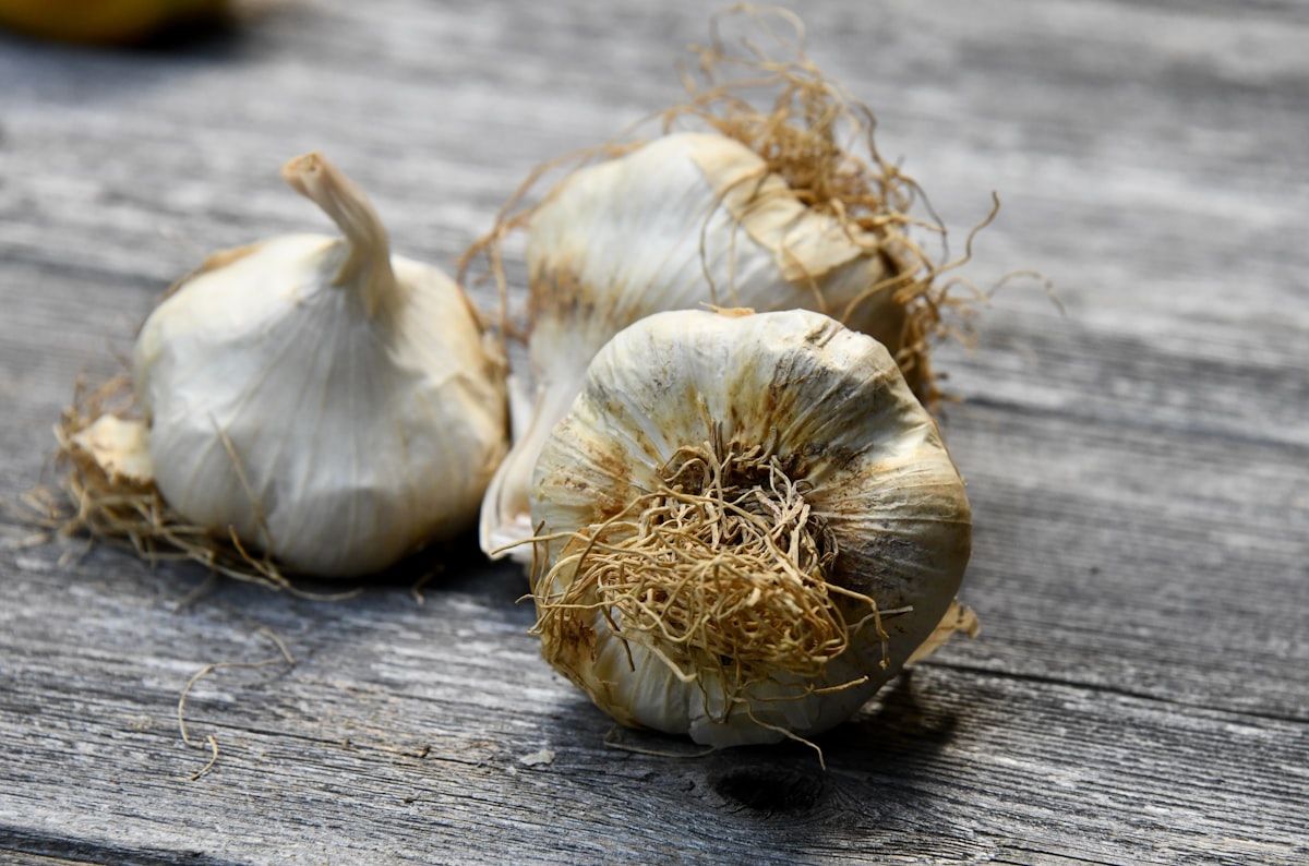 Healthy immune system foods for men
